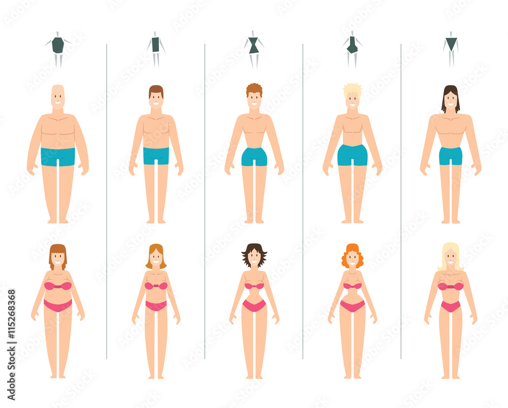 Vettoriale Stock Female body types vector illustration. Body types slim  anatomy constitution hourglass women proportions set. Style rectangle waist  body types figure shape female silhouette. Fashion girl beauty body. |  Adobe Stock