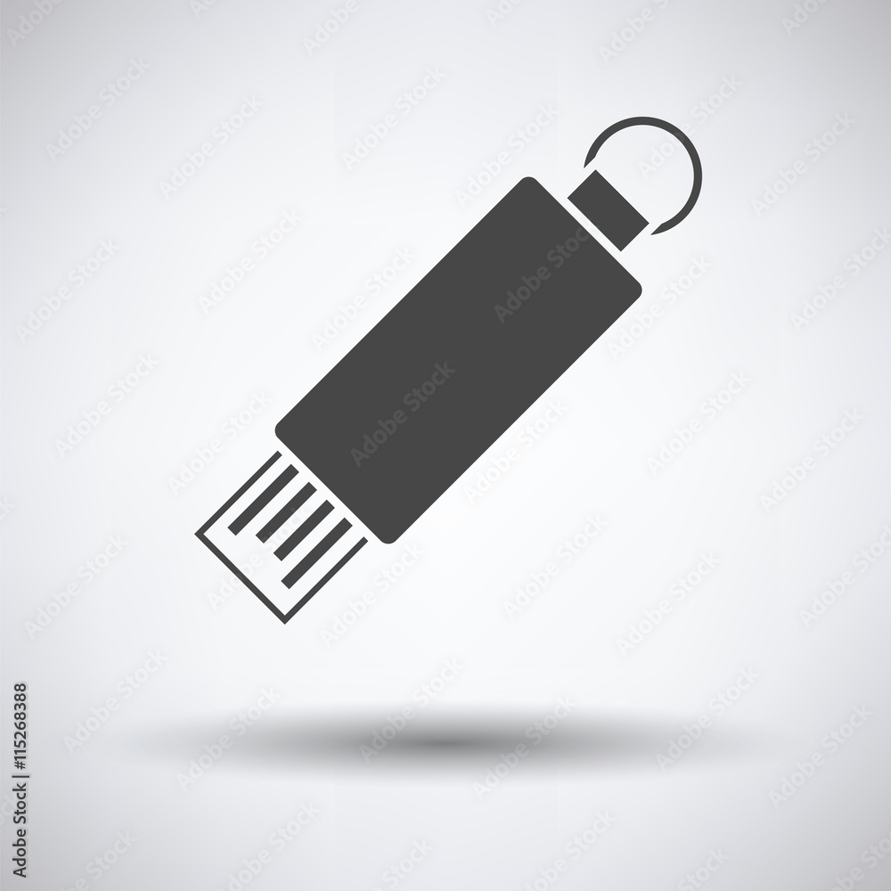 USB flash icon