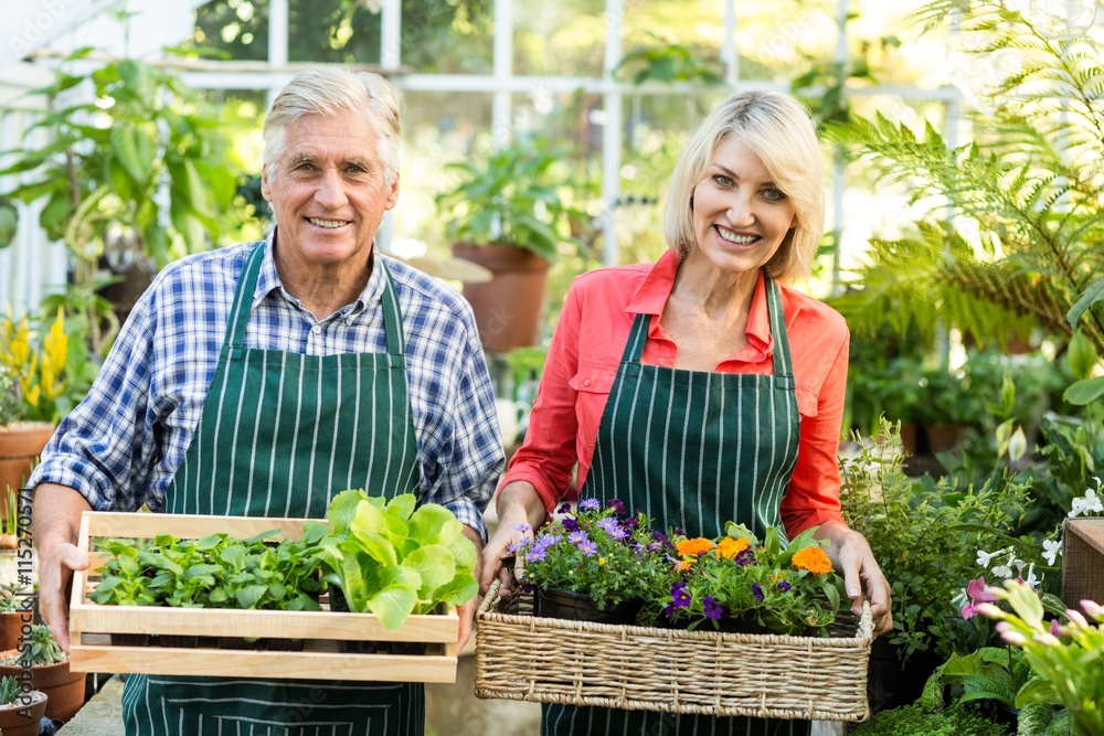 custom made wallpaper toronto digitalHappy couple holding plant crates at greenhouse
