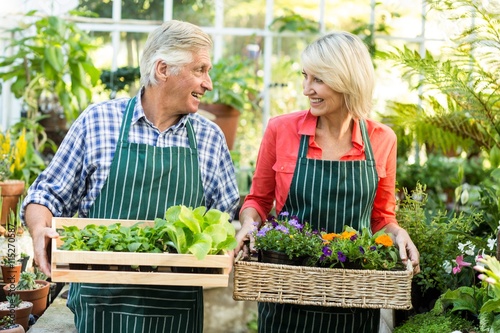 Wallpaper Mural Couple holding plant crates at greenhouse Torontodigital.ca