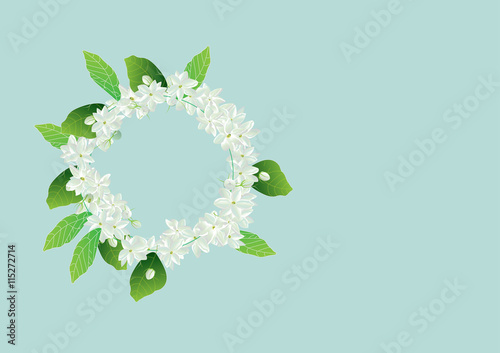 Crown jasmine with leave  on blue background,Mother's day concept 