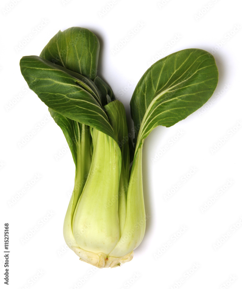 Brassica oleracea Vadkáposzta Brassica oleracea Vadkáposzta