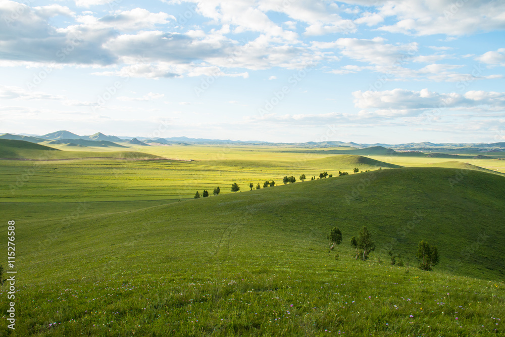 China Inner Mongolia natural grassland