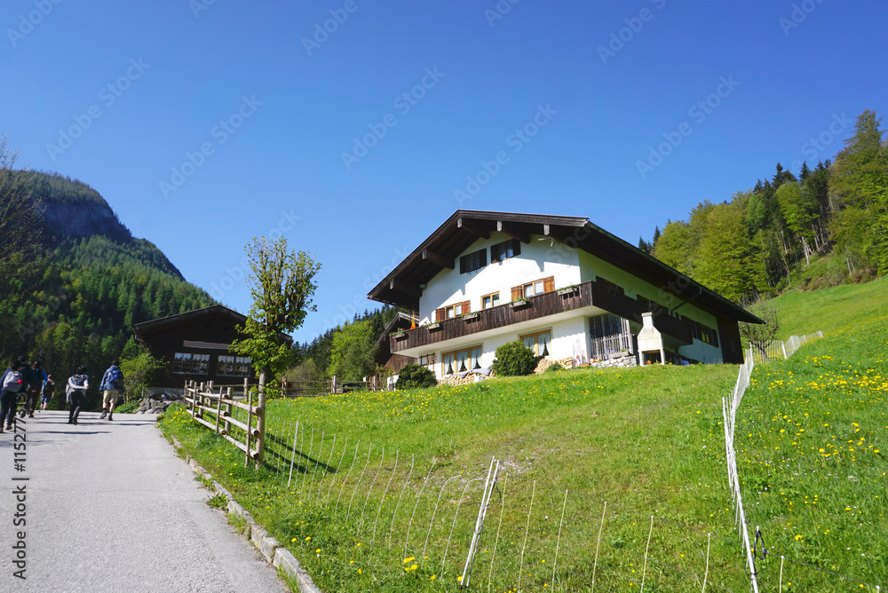 Fototapeta premium Generic bavarian house with green lawn