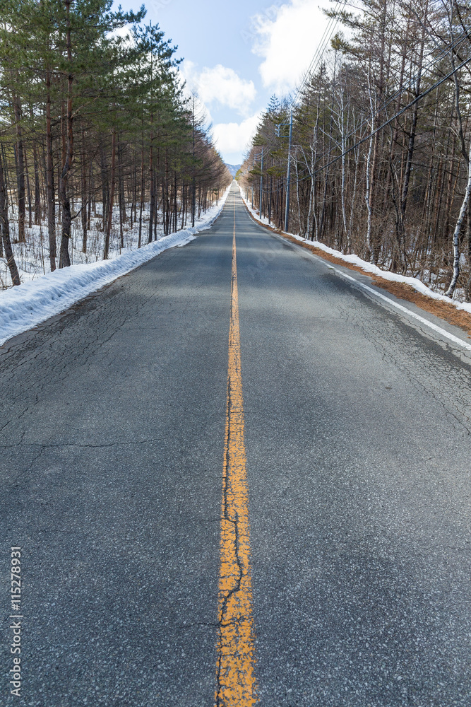 Fototapeta premium Winter road through snowy fields and forests