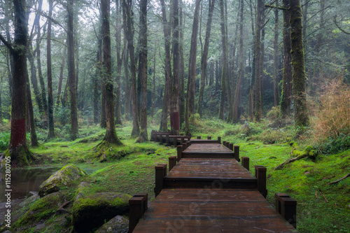 Alishan National Scenic Area