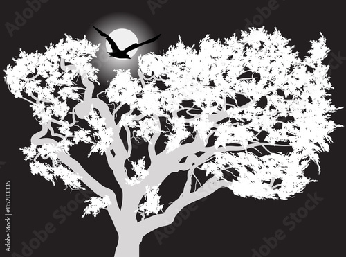 large bird above tree at night illustration