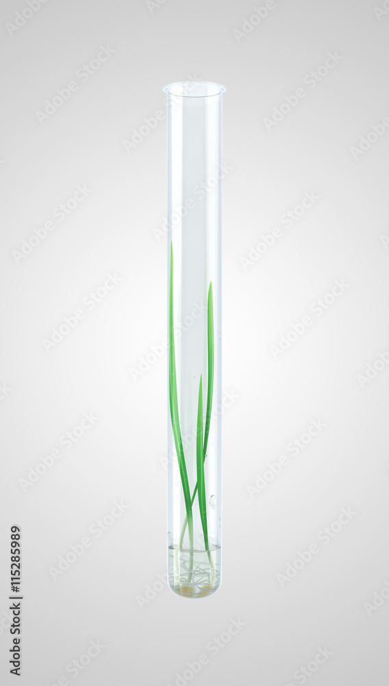Sprouted grains in glass test tubes (3d render) Sprouted grains in glass test tubes (3d render)