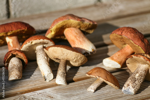 Mushrooms picked from the forest