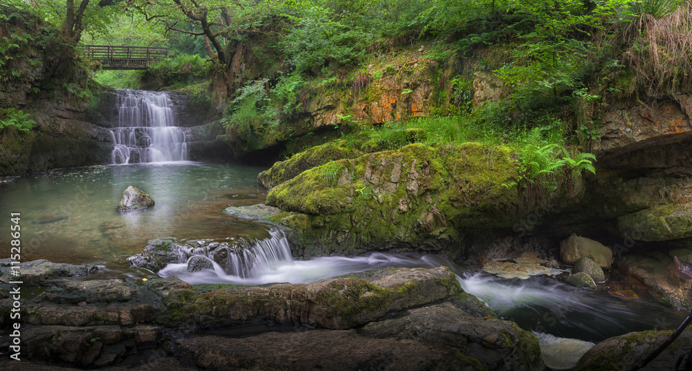 Fototapeta premium Waterfall at Dinas Rock Sgydau Sychryd or the Sychryd Cascades is a set of waterfalls near Pontneddfechan, South Wales.