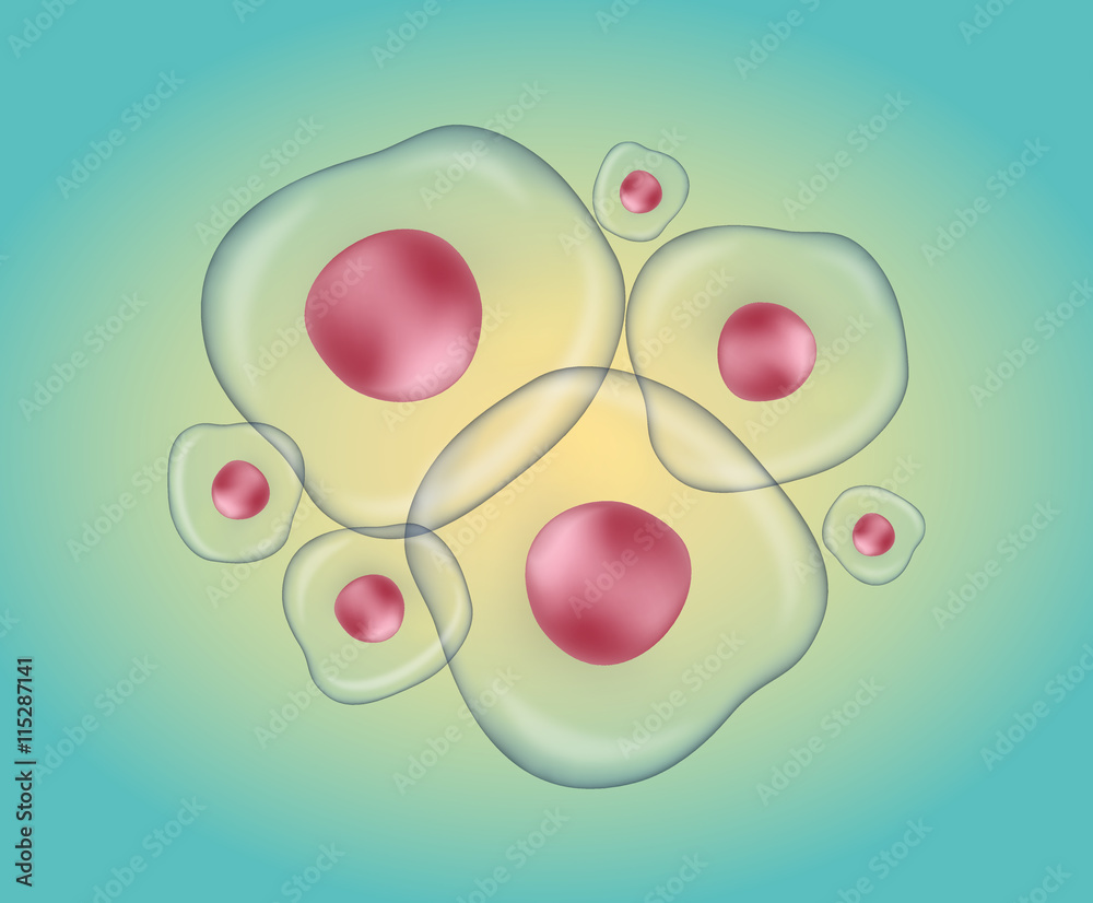 Cells - Biology Stock Vector | Adobe Stock