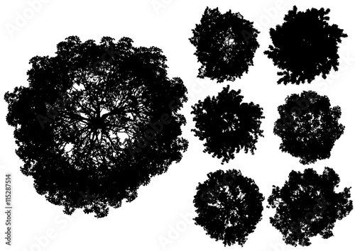 Vector trees isolated on a white background.
Top view.
