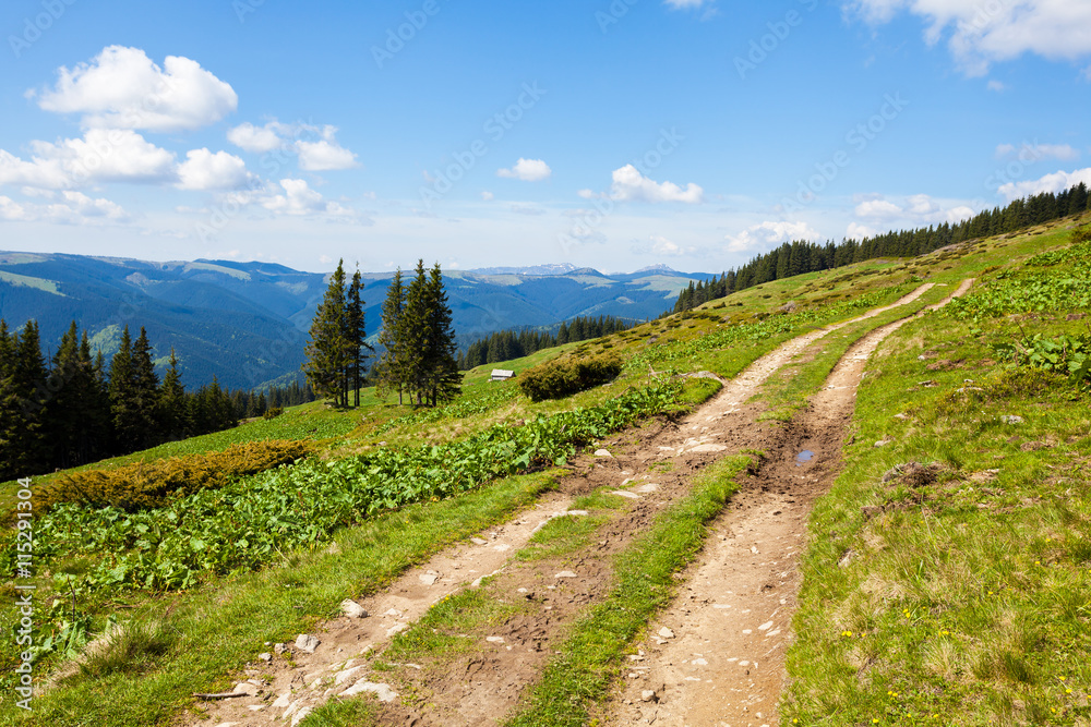 Fototapeta premium Road in the mountains