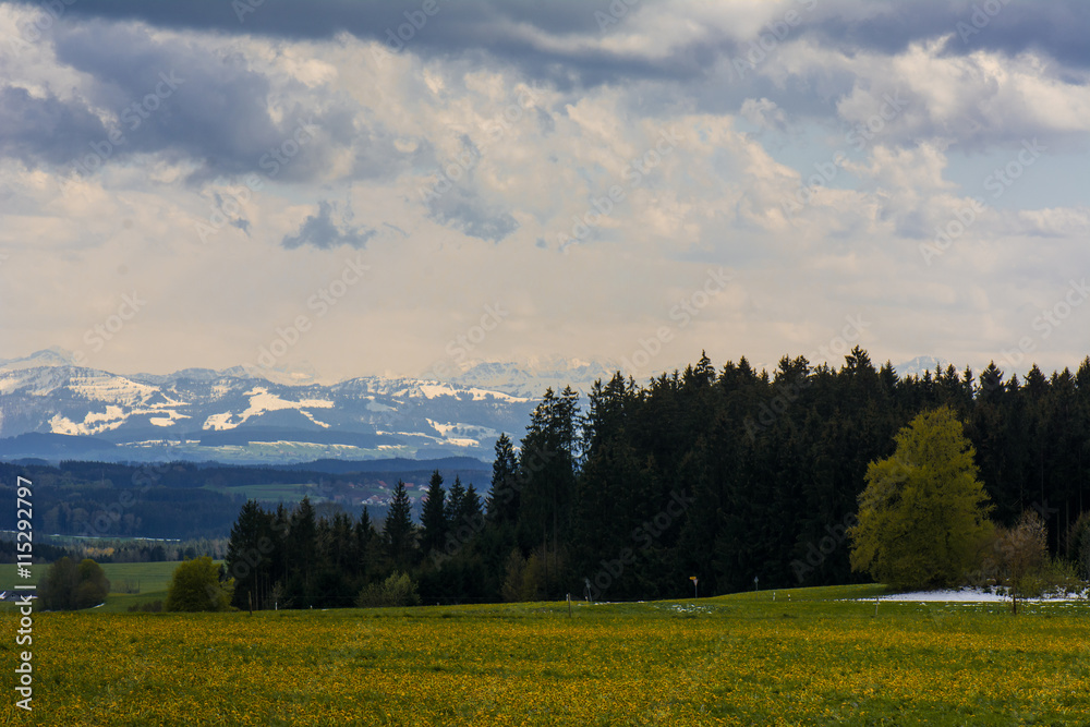 Obraz premium Alpenpanorama im Voralpenland