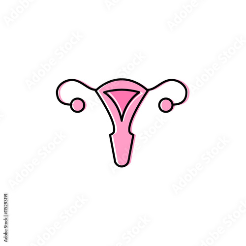 Vector uterus outline icon