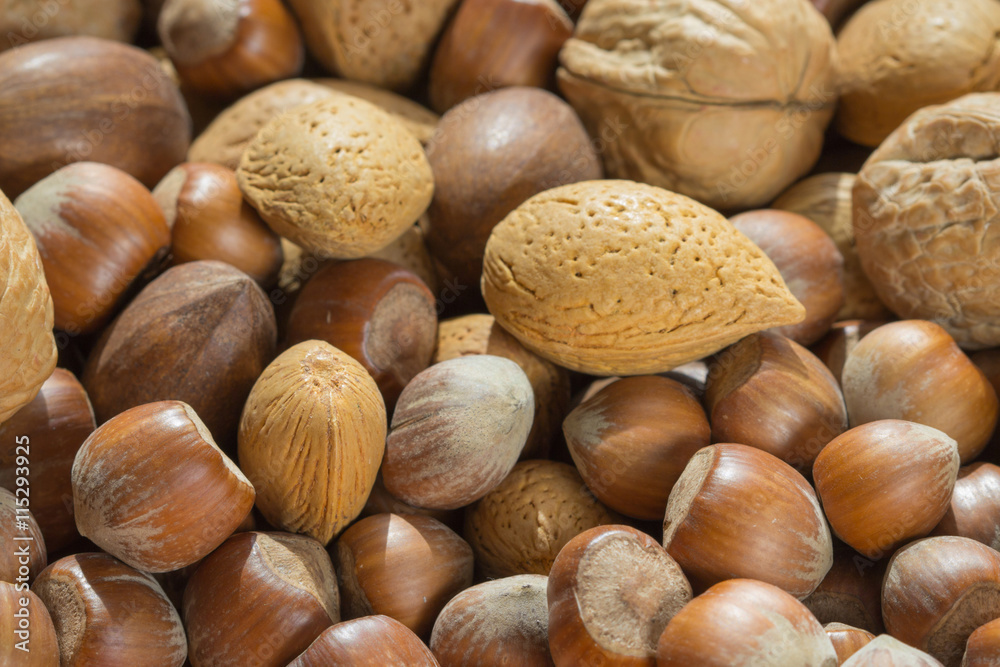 Assorted nuts close up Assorted nuts close up