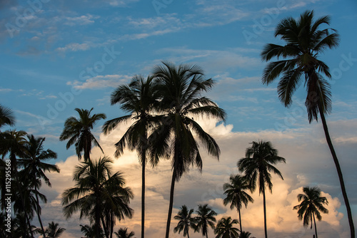 Sunset sky on tropical island