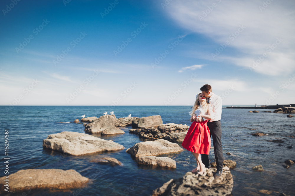 Charming bride, elegant groom on landscapes of mountains and sea Gorgeous wedding couple Charming bride, elegant groom on landscapes of mountains and sea Gorgeous wedding couple