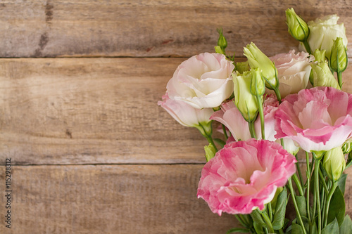 pink and white ranunculus flowers