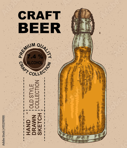 Hand drawn bottle with beer. Alcohol drink sketch vector