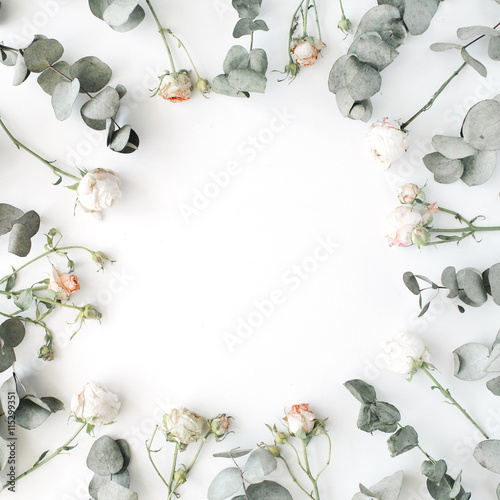 wreath frame with roses, eucalyptus branches, leaves and petals isolated on white background. flat lay, overhead view
