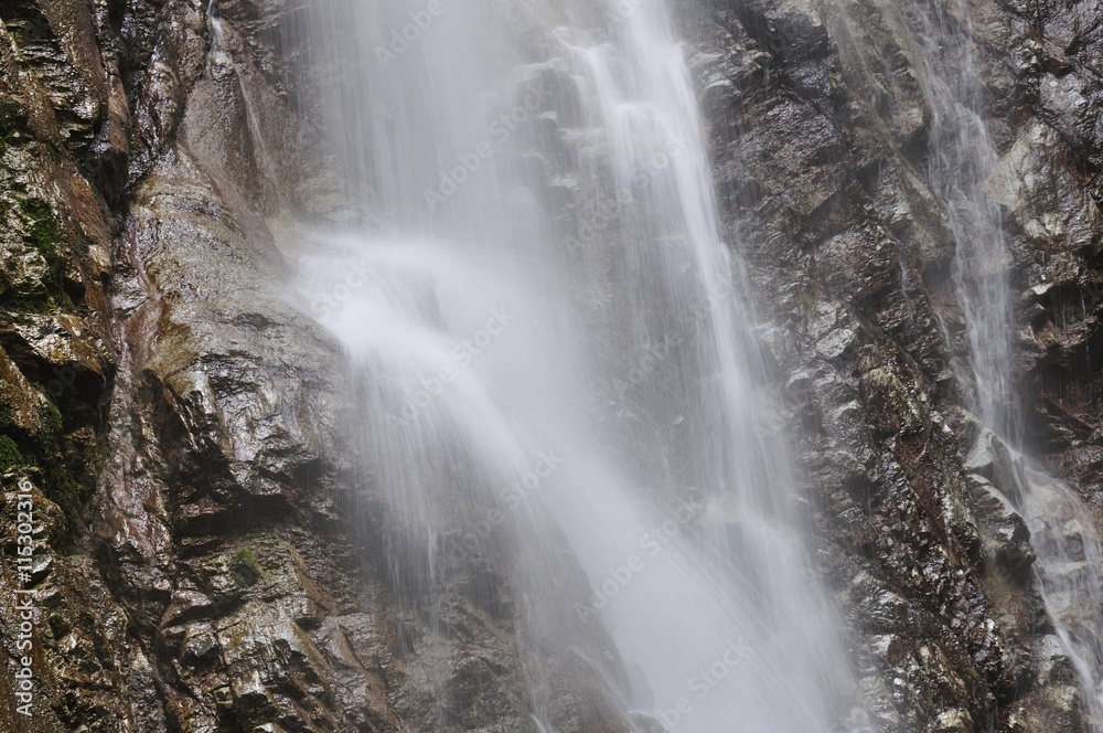 Fototapeta premium 西丹沢 本棚の滝