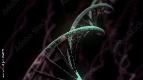 DNA spinning RNA double helix slow tracking shot closeup depth of field 4K
 photo