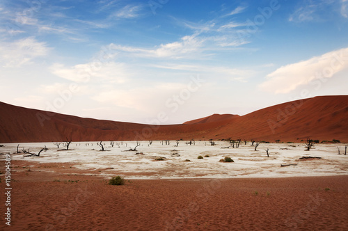 View of the Deadvlei in Namibia