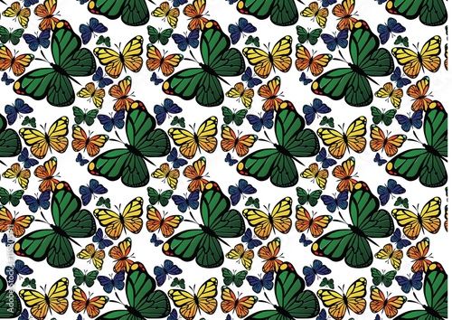 Butterfly colorful pattern. Vector