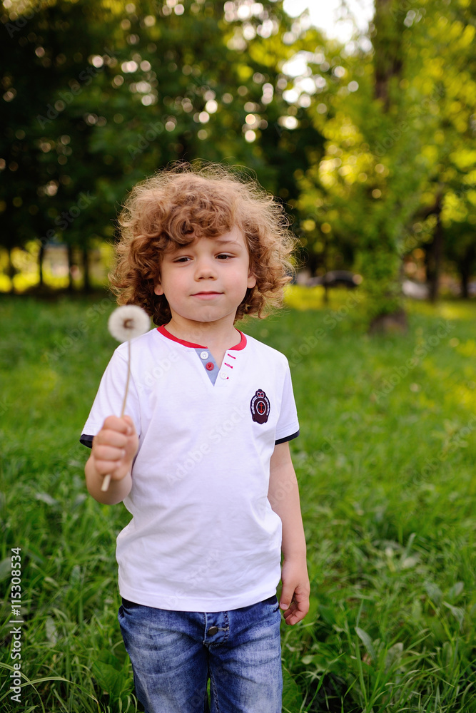 baby boy with curly red hair blowing on a dandelion baby boy with curly red hair blowing on a dandelion