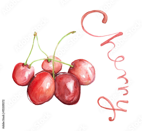 Watercolor hand drawn illustration of red cherry composition with and lettering Cherry isolated on white