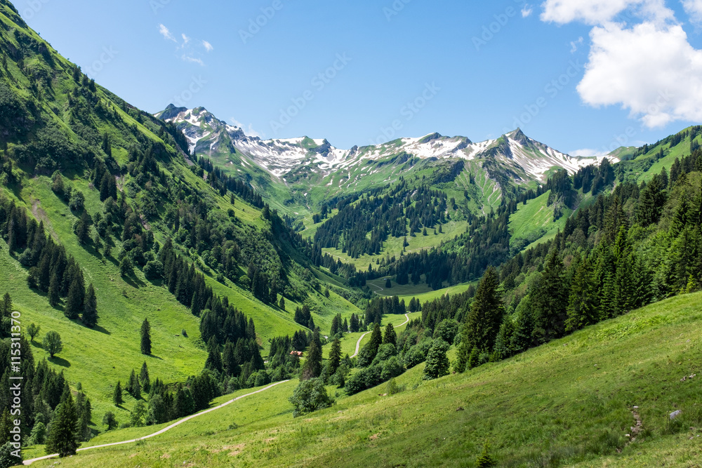 Fototapeta premium panorama landscape in Bavaria with alps mountains and meadow at spring