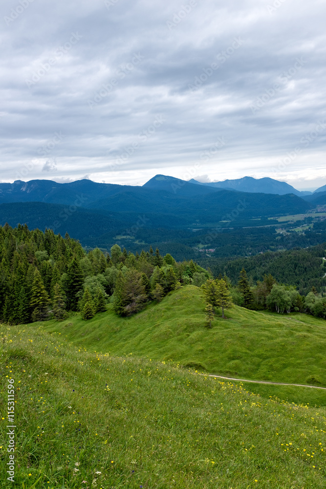 panorama landscape in Bavaria with alps mountains and meadow at spring