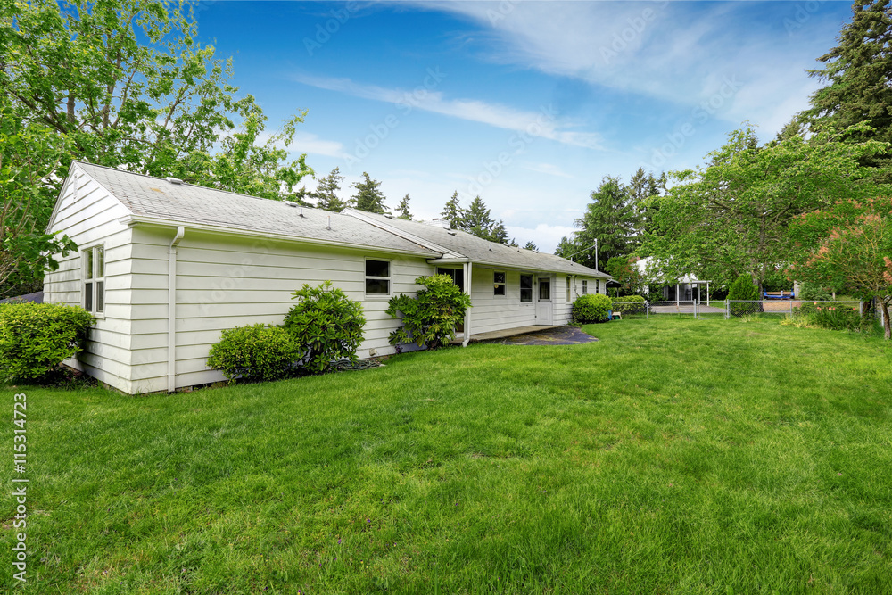 Back yard of American rambler with green grass and lots of space