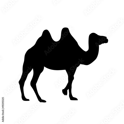 bactrian camel silhouette