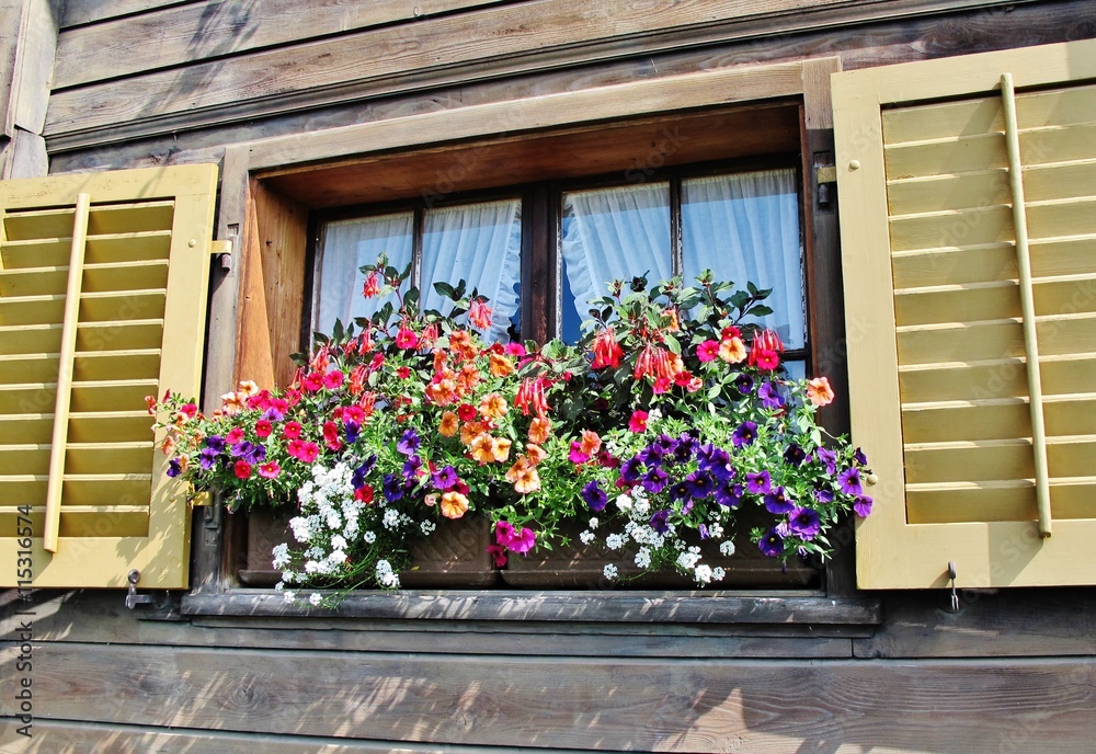 Fototapeta premium Blumenfenster in Planken, Liechtenstein