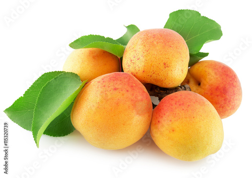 apricots isolated on the white background
