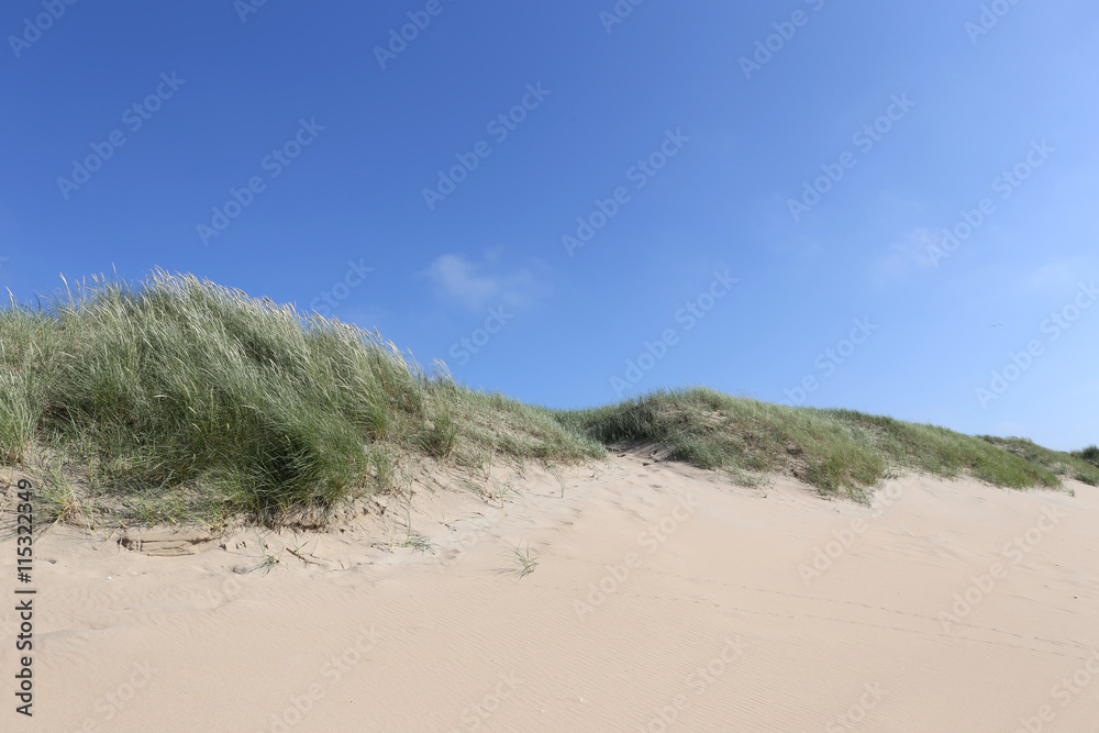 Dünen an der niederländischen Nordseeküste Dünen an der niederländischen Nordseeküste