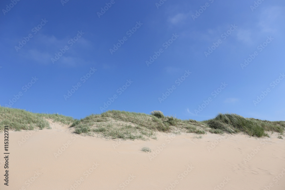 dunes at the Dutch North Sea coast