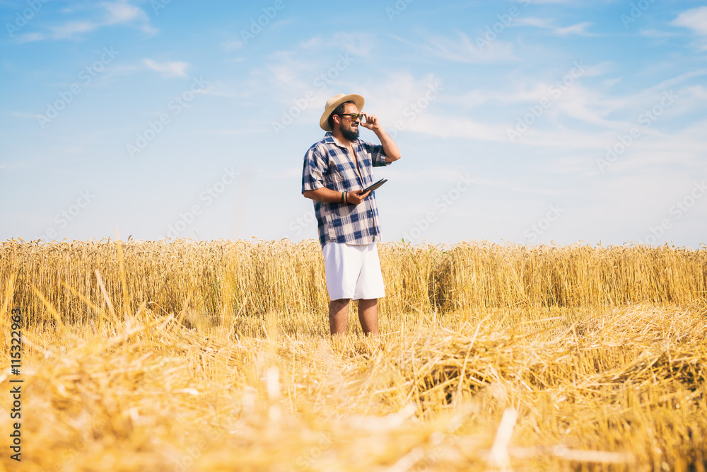 Man on a wheat field holding a tablet. Man on a wheat field holding a tablet.