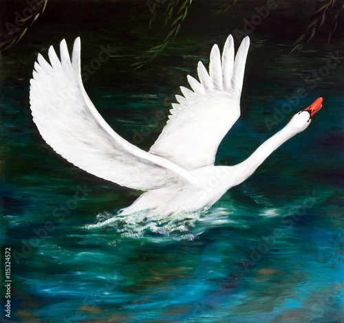 Oil painting. The white Swan on the dark water