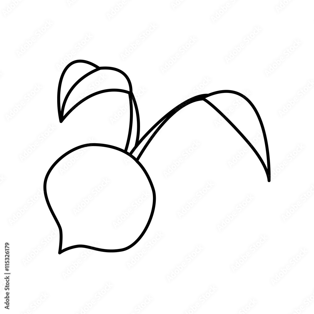 Organic and Healthy food concept represented by onion icon. Isolated and flat illustration Organic and Healthy food concept represented by onion icon. Isolated and flat illustration