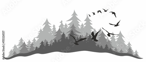 Landscape with wood and birds.