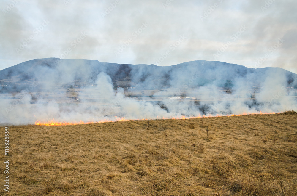 Line of the fire coming toward the village - burning meadow grass