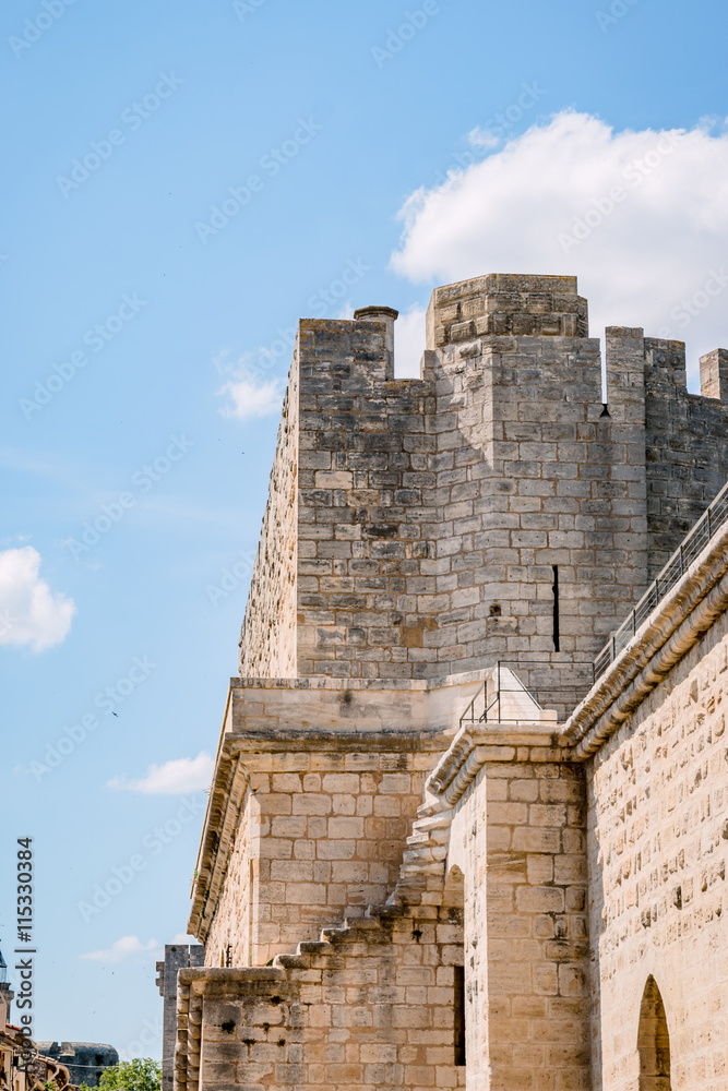 La cité lacustre de Aigues-Mortes et ses fortifications