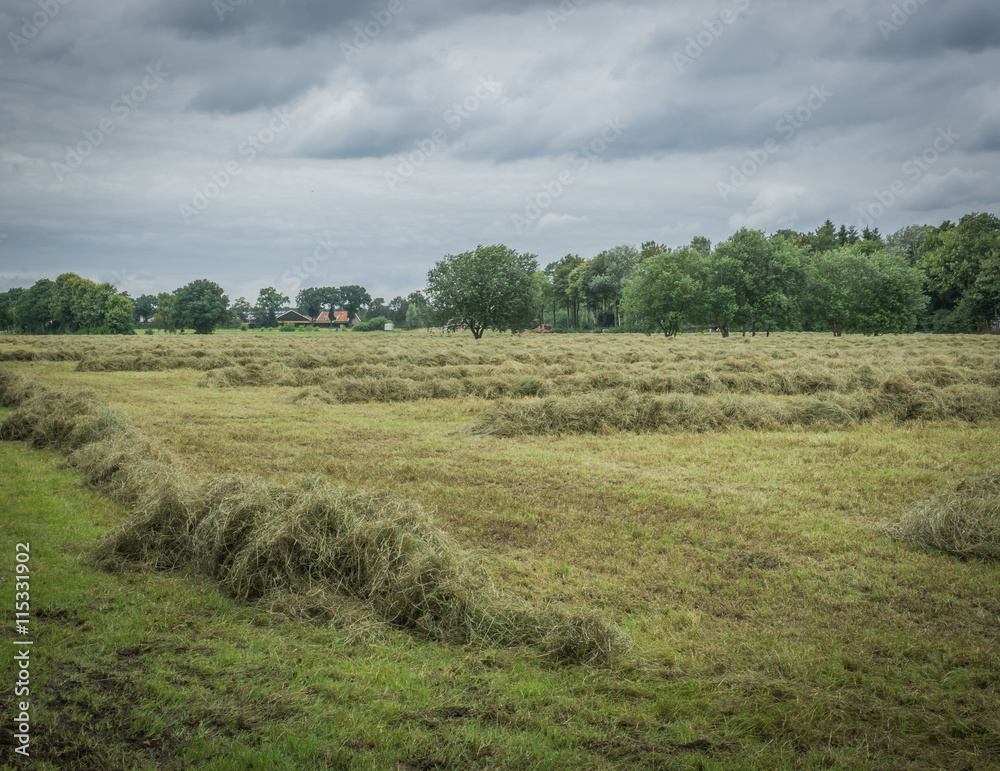 piles of hay in the fields