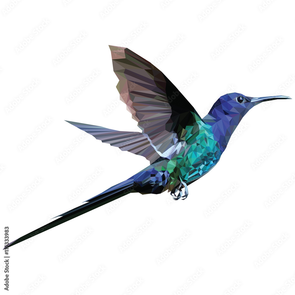 Beija-flor Low Poly