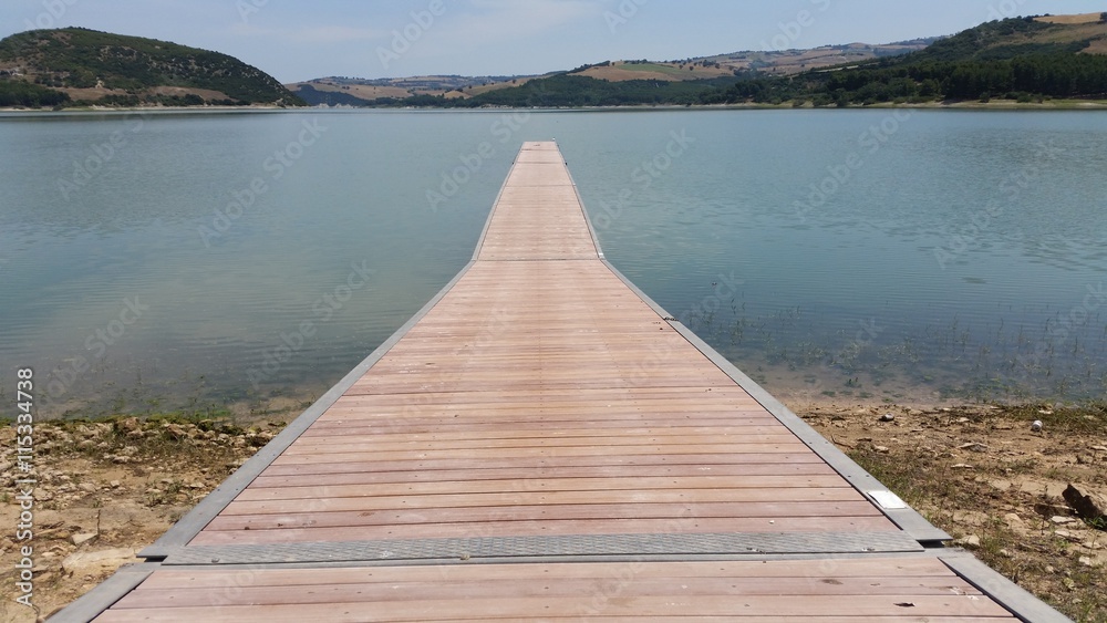 Naklejka premium footbridge in the lake
