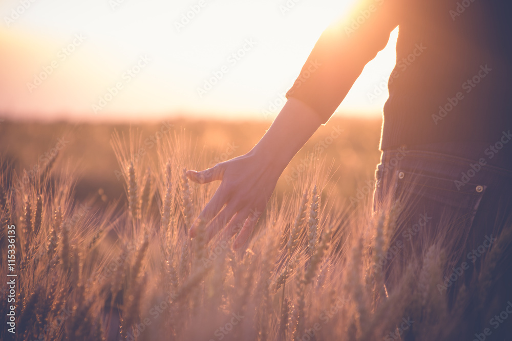 Woman in a wheat field in the sun - obrazy, fototapety, plakaty 