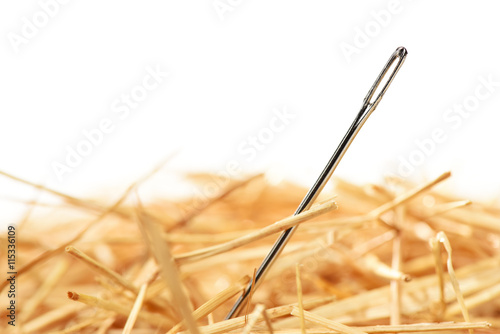 Tableau sur toile Closeup of a needle in haystack. Isolted on white background